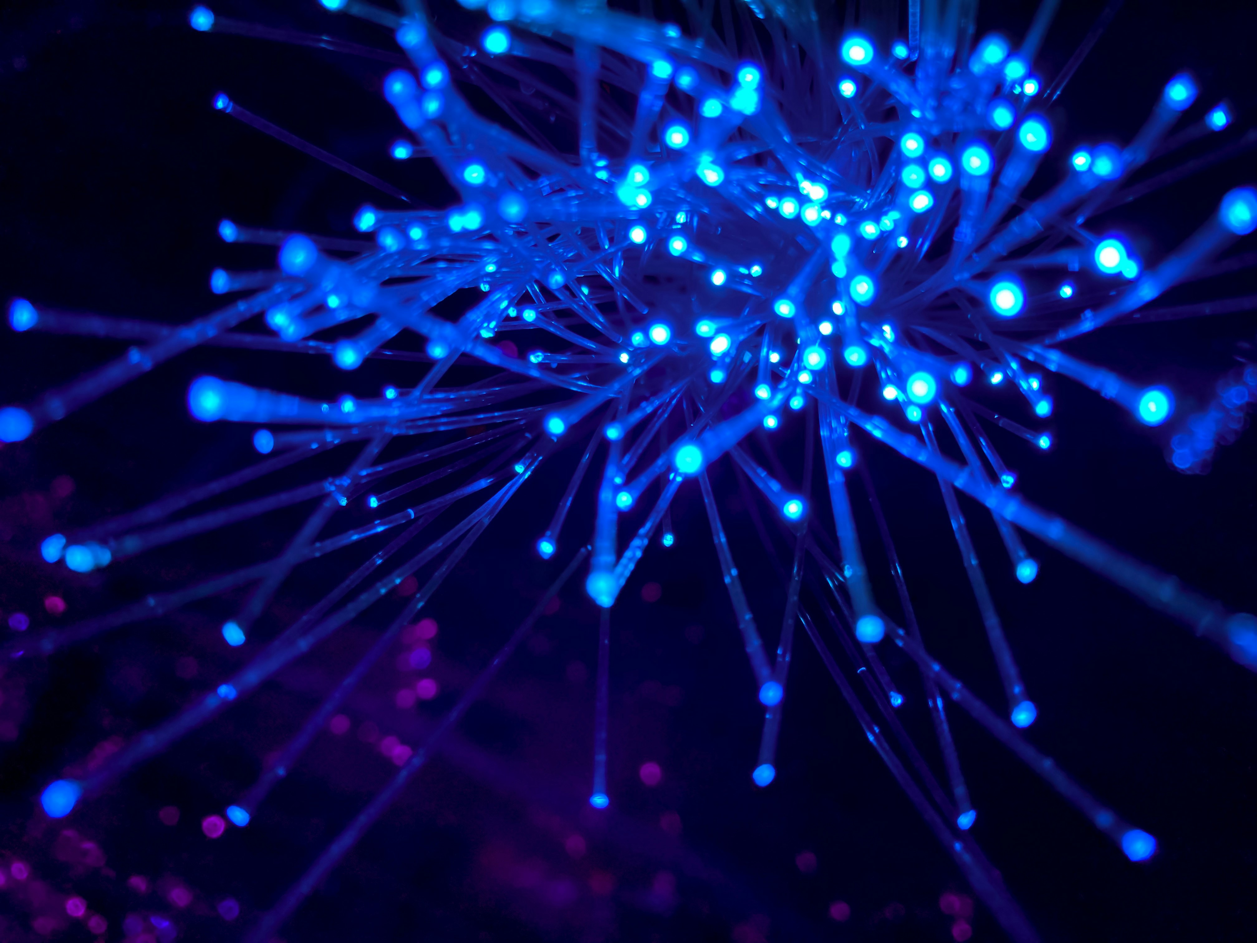 Illuminated fiber optic cables glowing blue and purple against black background